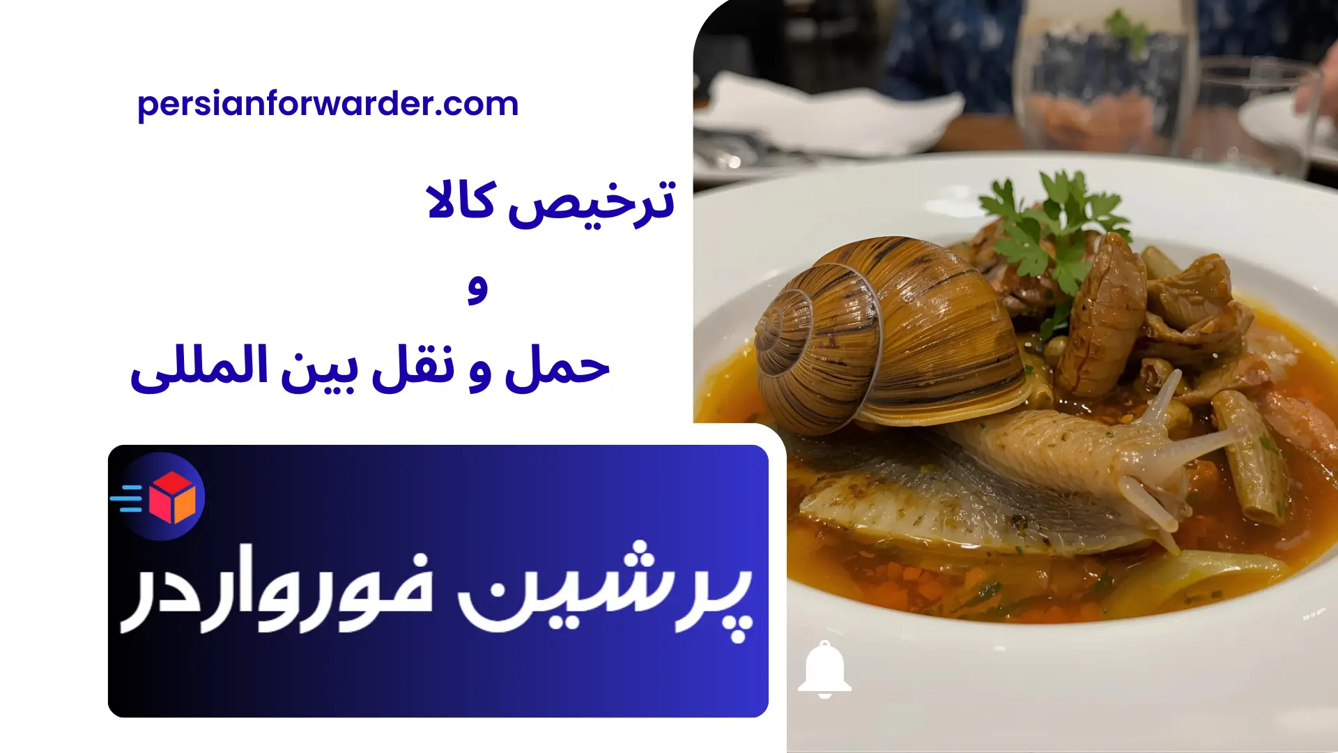 صادرات حلزون به دبی صادرات حلزون به دبی