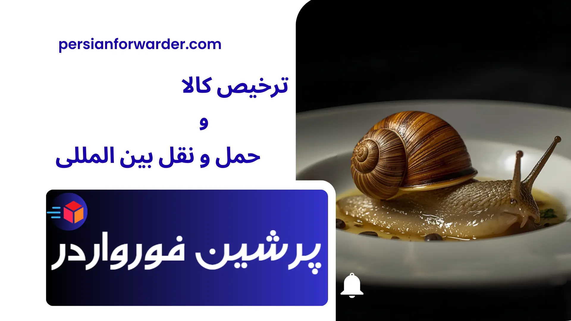 صادرات حلزون به دبی صادرات حلزون به دبی